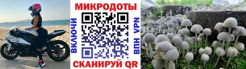 Галлюциногенные грибы мицелий  Бологое 