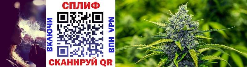 blacksprut зеркало  купить закладку  Бологое  Канабис THC 21% 